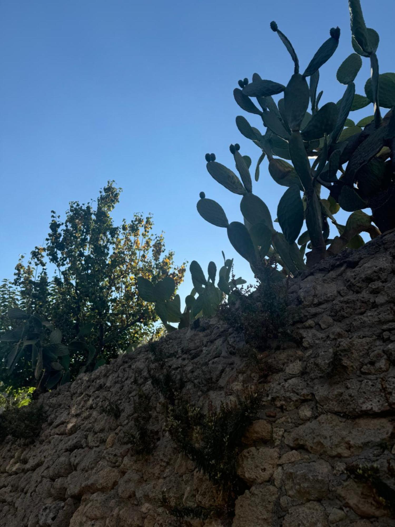 Bed and Breakfast La Rosa Blu Gerace Exterior foto